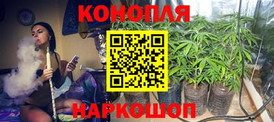 крисы Нягань