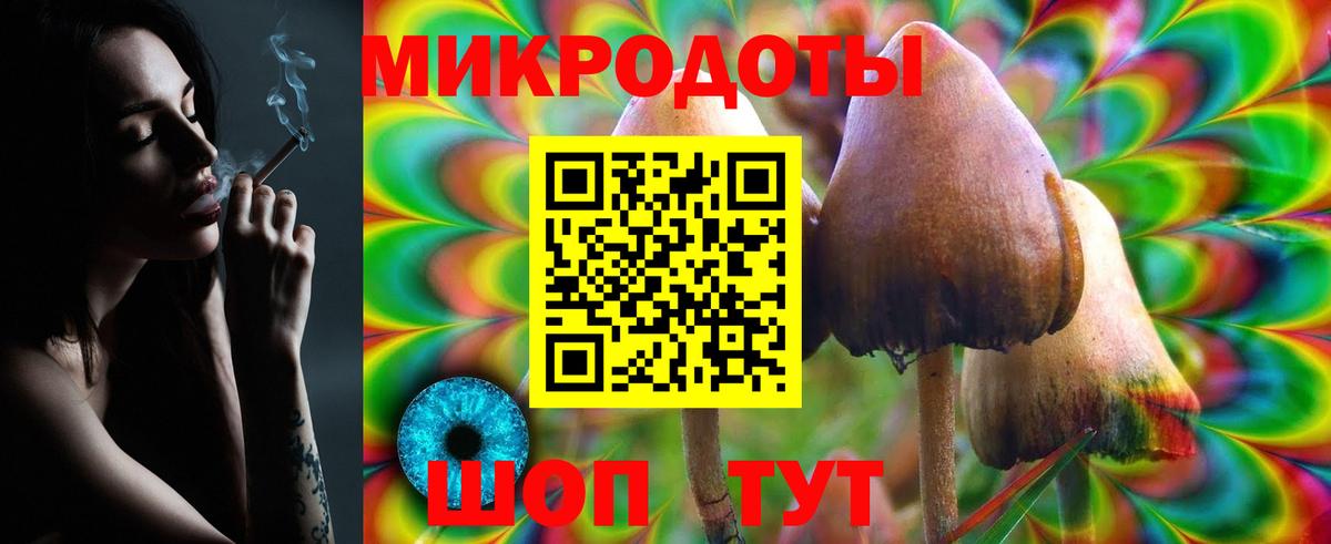 Галлюциногенные грибы Psilocybine cubensis Приморско-Ахтарск