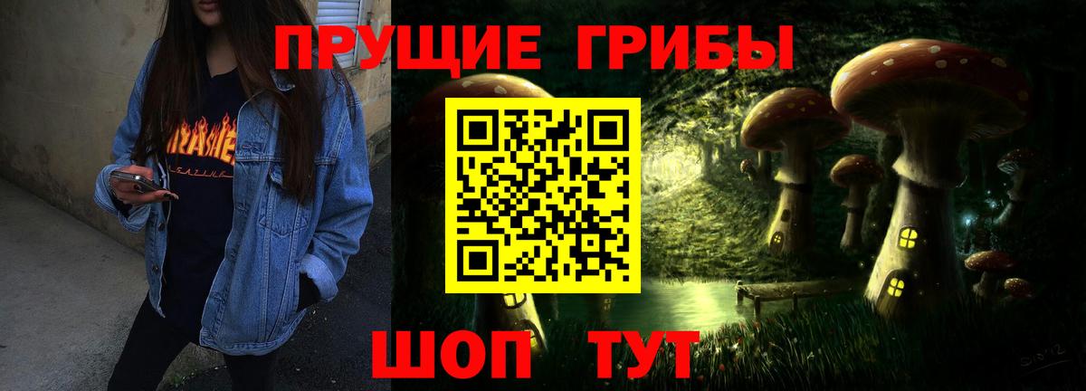 Приморско-Ахтарск  Псилоцибиновые грибы Psilocybe  даркнет сайт  Вход с VPN 